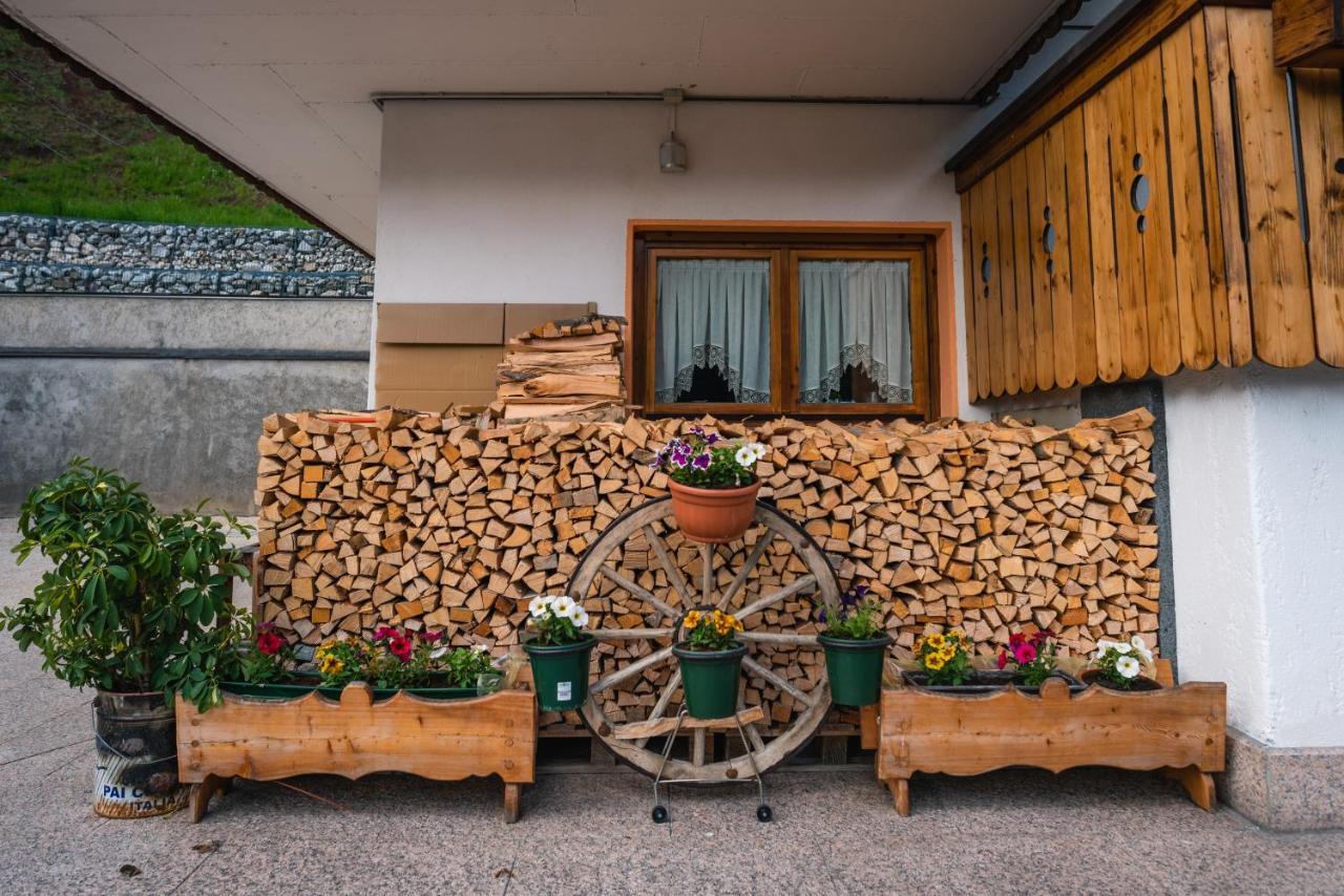 Appartamenti Patrizia San Pietro di Cadore Exterior foto