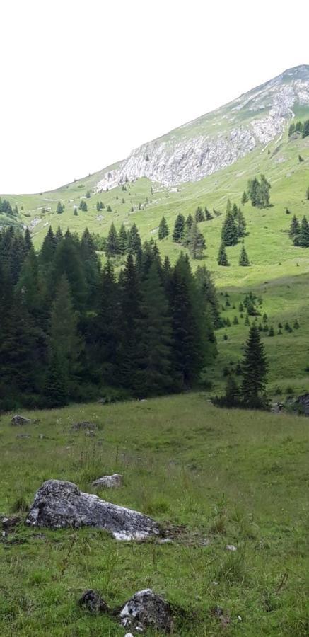 Appartamenti Patrizia San Pietro di Cadore Exterior foto