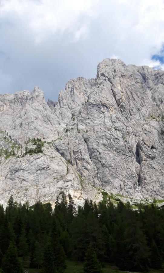 Appartamenti Patrizia San Pietro di Cadore Exterior foto