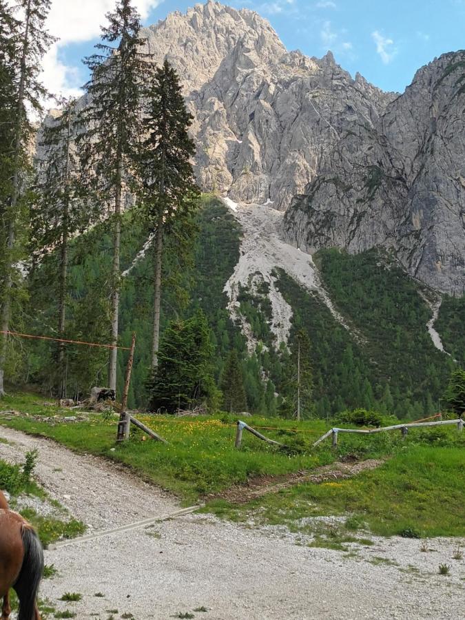 Appartamenti Patrizia San Pietro di Cadore Exterior foto