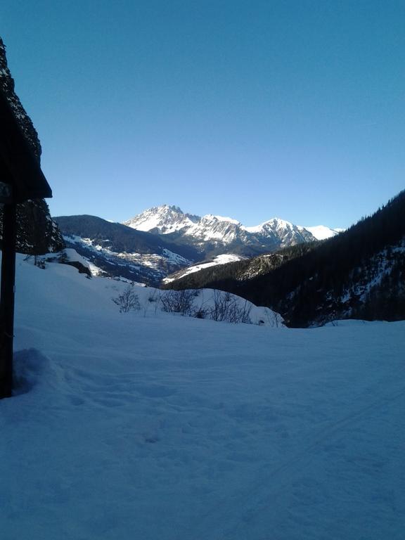 Appartamenti Patrizia San Pietro di Cadore Exterior foto